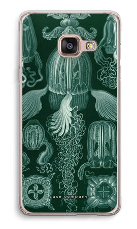 Haeckel Cubomedusae