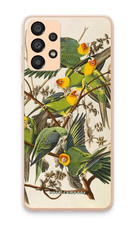 Carolina Parrot