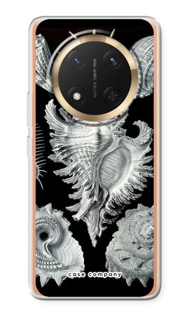 Haeckel Prosobranchia