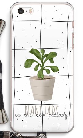 Houseplant on windowpane