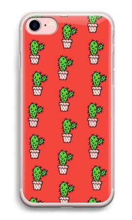 Mini cactus