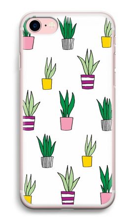 Sanseveria