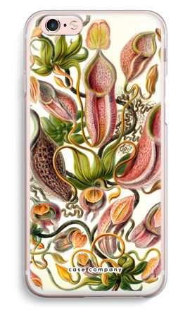 Haeckel Nepenthaceae