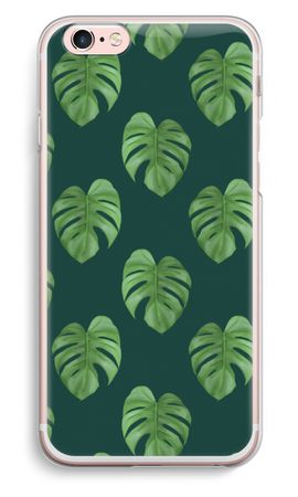 Monstera leaves