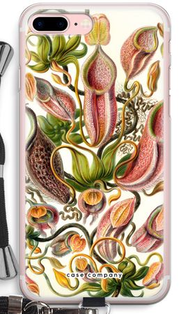 Haeckel Nepenthaceae