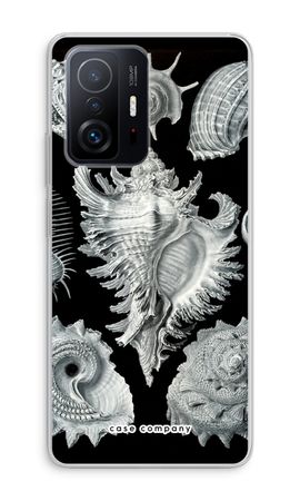 Haeckel Prosobranchia