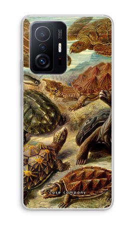 Haeckel Chelonia