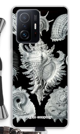 Haeckel Prosobranchia