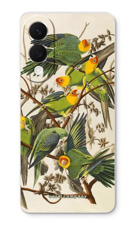 Carolina Parrot