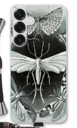 Haeckel Tineida