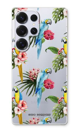 Farbenfrohe Papageien