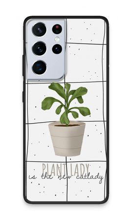 Houseplant on windowpane