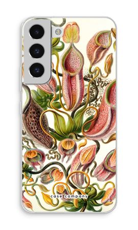 Haeckel Nepenthaceae