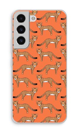 Cheetah
