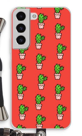 Mini cactus