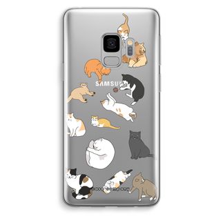 Gatos