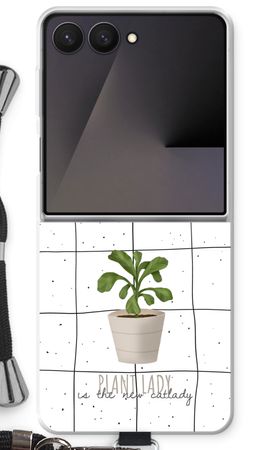 Houseplant on windowpane