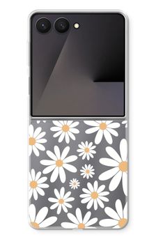 Encore des marguerites