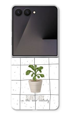 Houseplant on windowpane