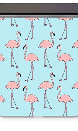 Anything Flamingoes