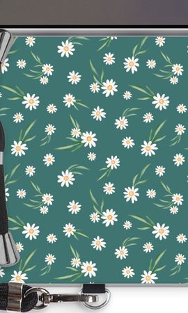 Small daisies
