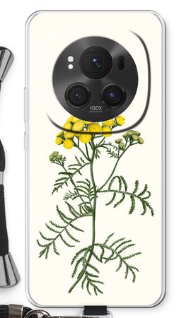 Tansy
