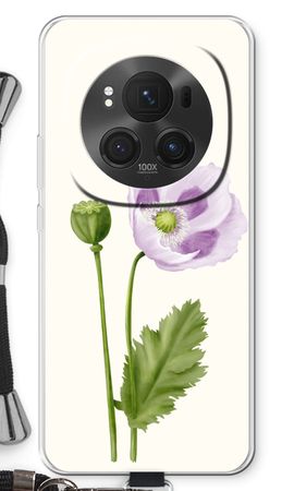 Purple poppy