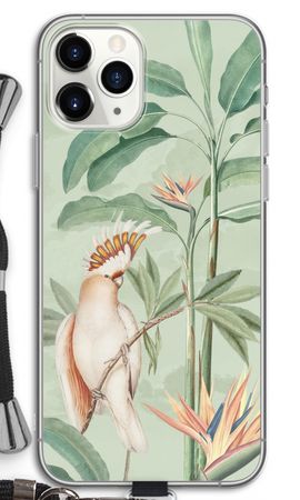 Tropical Parrot