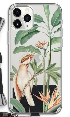 Tropical Parrot