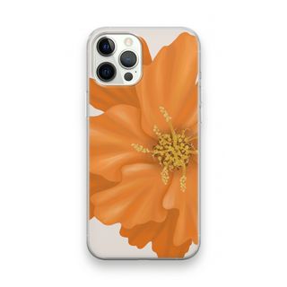 Orange Ellila flower