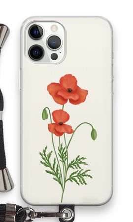 Red poppy