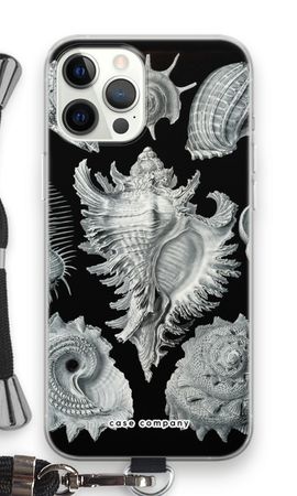 Haeckel Prosobranchia