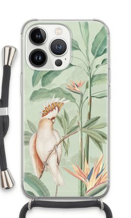 Tropical Parrot