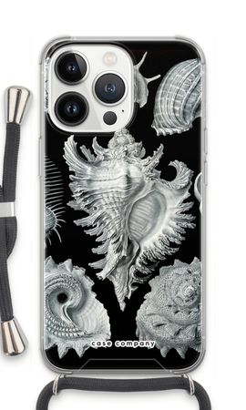 Haeckel Prosobranchia