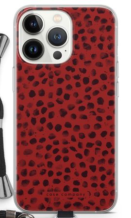 Ladybird Paint
