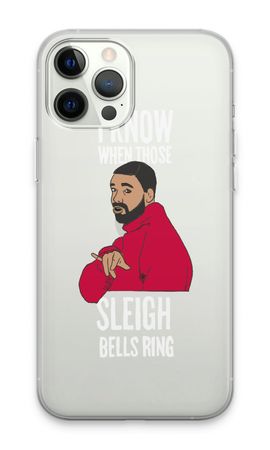 Sleigh Bells Ring