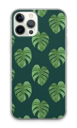 Monstera leaves