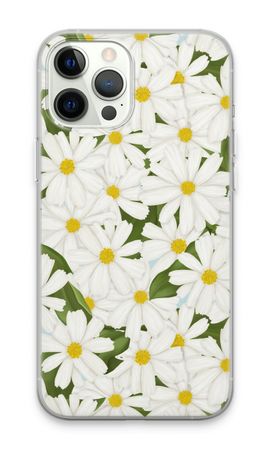 Summer Daisies