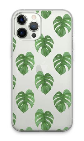 Monstera leaves