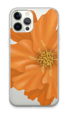 Orange Ellila flower