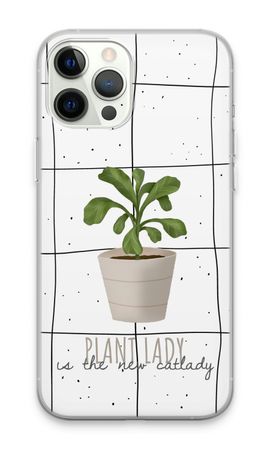 Houseplant on windowpane