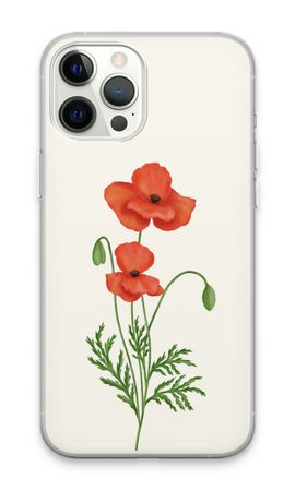 Red poppy