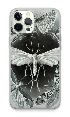 Haeckel Tineida