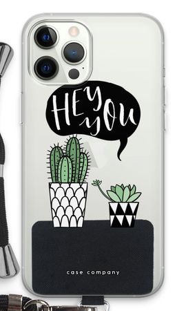 Hey you cactus