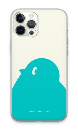 BIG Robin 1