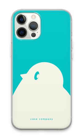BIG Robin 2