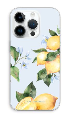 Orchard Sun