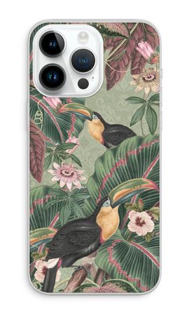 Tropical jungle toucan