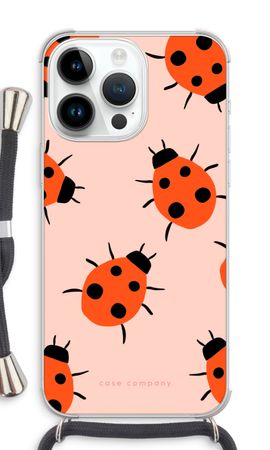 Ladybugs