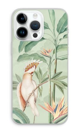 Tropical Parrot